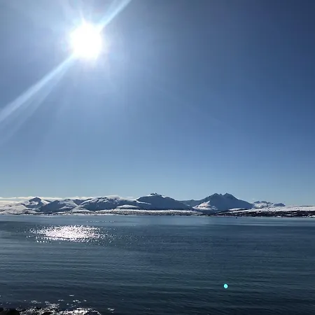 Daire Your Away From Home, 1